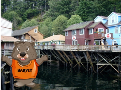 Harvey in Alaska