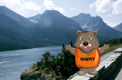 Harvey at Glacier