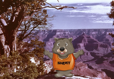 Harvey at Grand Canyon